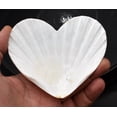thumbnail image 2 of Set of 12 Heart Shaped White Scallop Shells (4") Beach Crafts Coastal Decorating, 2 of 3