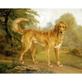 thumbnail image 2 of Lytzen, Niels Aagaard 18x15 Black Ornate Wood Framed with Double Matting Museum Art Print Titled - A Golden Retriever On a Path, 2 of 4