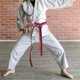 thumbnail image 2 of BRIGHTFUFU Cinturón de karate de karate portátil cinturón de karate cintura de uso diario para taekwondo, 2 of 8