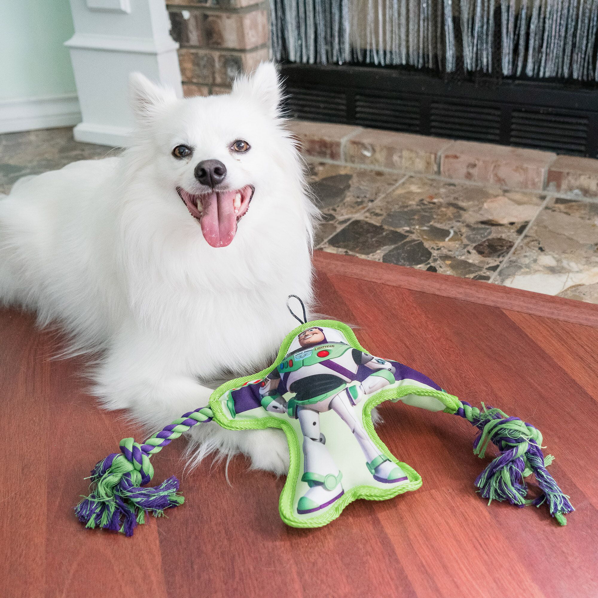 New 'Toy Story 4' Dog Toys From Hyper Pet – Toy Story Fangirl