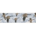 thumbnail image 2 of Beautiful Flying Ducks Blue Sky Wallpaper Border Retro Design, Roll 15' x 7'', 2 of 3