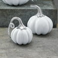 thumbnail image 2 of Mariposa Ceramic Heirloom Small Pumpkin with Metal Stem - 6371, 2 of 4