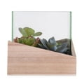 thumbnail image 3 of Vickerman 6" Artificial Green Assorted Succulents in Wood Container and Glass Top., 3 of 4