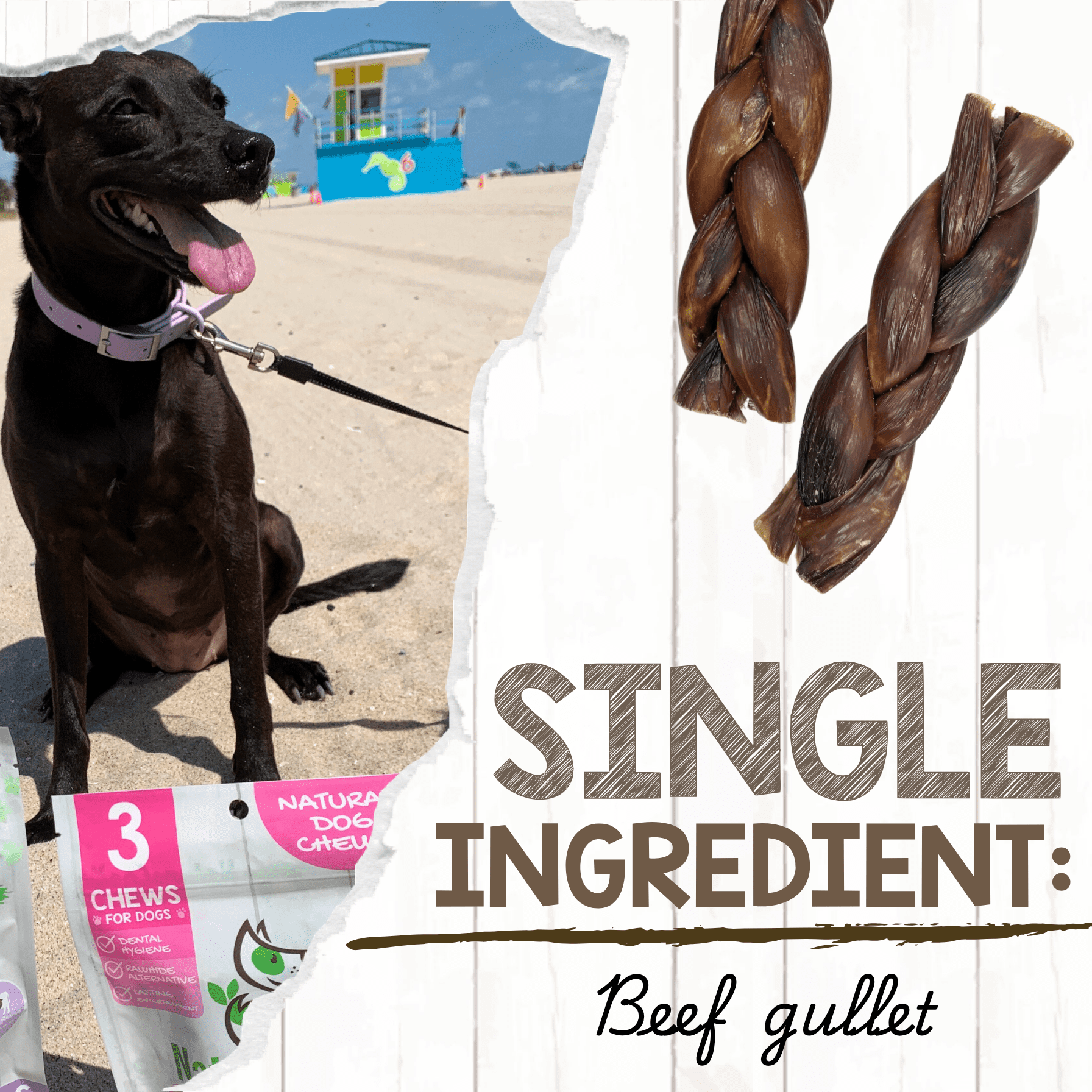 Nature Gnaws Braided Beef Chews, Natural Dog Chew Treats (3 count)