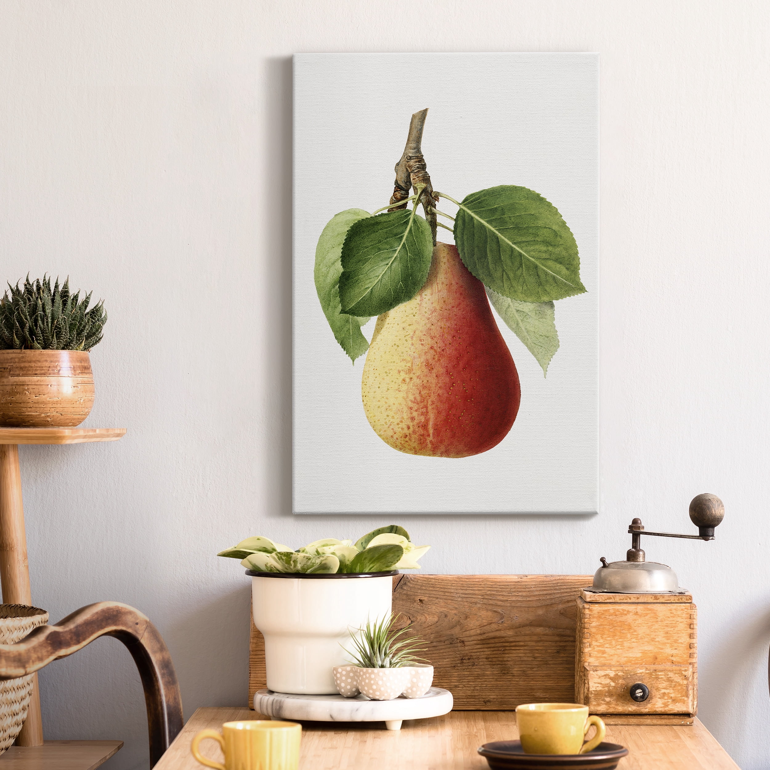 Vintage Pear Illustration II Premium Gallery Wrapped Canvas - Ready to Hang - 32 x 48