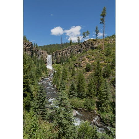 Wall Unites Tumalo Falls, a 97-foot waterfall on Tumalo Creek, in the Cascade Range west of Bend, Oregon, Unite Print Wall Art By Martin Child ()