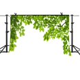 thumbnail image 1 of EREHome Tissu Polyester 7x5Ft Arbres Verts Fond Blanc Feuille Verte Échantillon Fond Studio Vidéo Familial Photo, 1 of 2