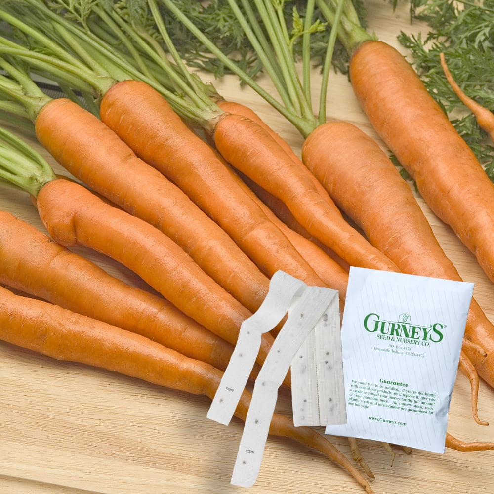 Tendersweet Carrots 2 seed tapes measuring 7.5 feet long each
