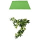 thumbnail image 2 of De 2, Alfombra De Terrario Revestimiento De Sustrato Y a, 2 of 9