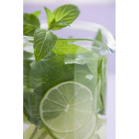 Mojito with Lime and Fresh Mint Print Wall Art By