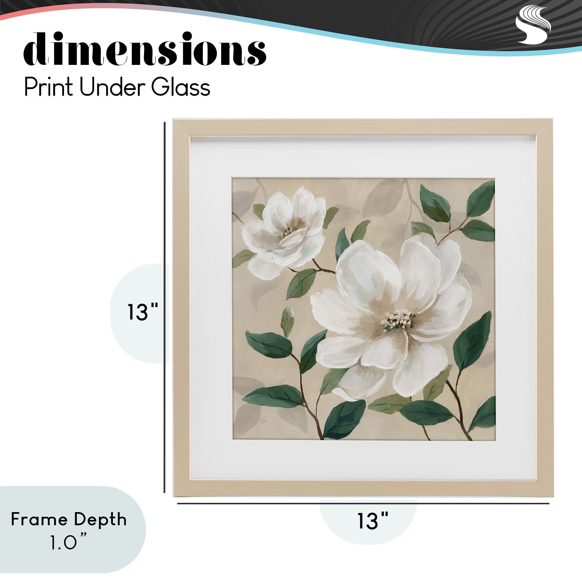 Stupell Industries Serene White Blossom with Leaves Birch Framed Print Under Glass, design by Nan
