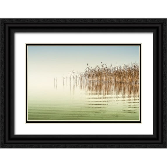Eisenmann, Ulrike 24x17 Black Ornate Wood Framed with Double Matting Museum Art Print Titled - Little Waves