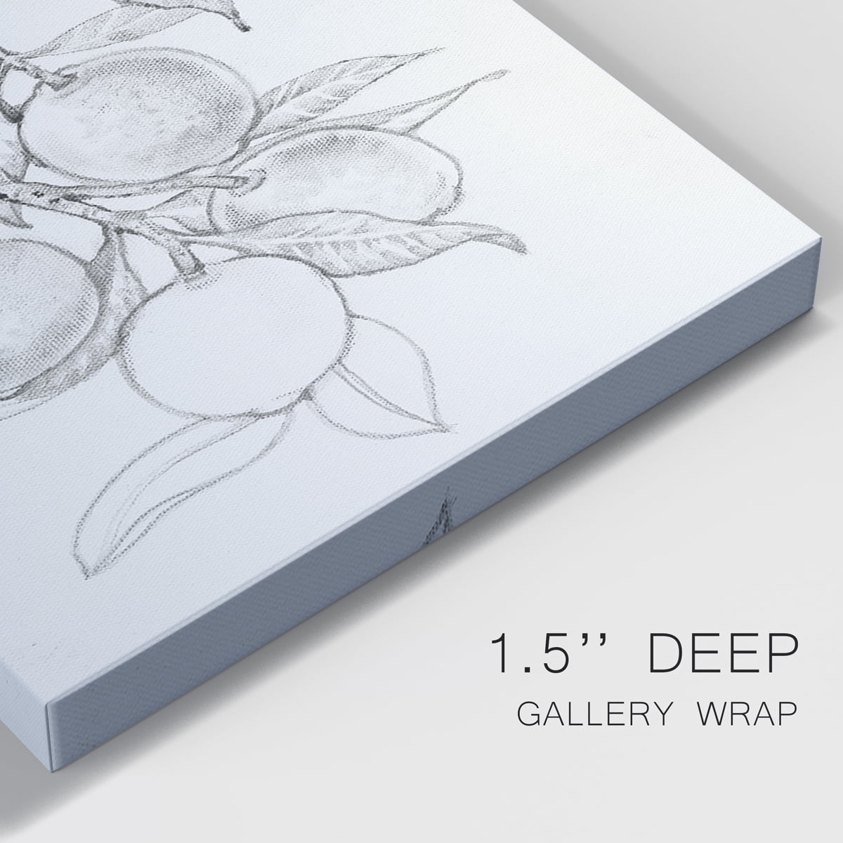 Fruit-Bearing Branch I Premium Gallery Wrapped Canvas - Ready to Hang - 12 x 18 Each