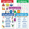 SPANISH BASIC SKILLS 5 CHART PACK