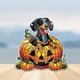 thumbnail image 4 of Decoraciones de Halloween, adornos de Halloween, regalos de Halloween, decoración de Halloween con forma de calabaza acrílica para colgar en la ventana, decoraciones de Halloween, 4 of 4