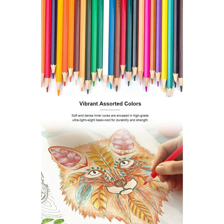 EZWORK 48 Pack Wooden Colored Pencils with Built-in Sharpener in Tube Cap,  Vibrant Color Presharpened Pencils Easy to Color Book, Soft Core Art