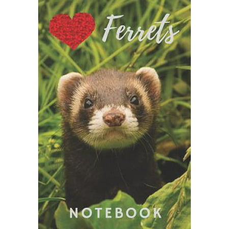 Ferret Notebook : cute ferrets gift for children who love animals (blank lined notebook) pet notepad for girls / best for writing stories, notes and ideas for home use, work, or as a school homework book / journal for journaling / ferret