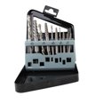 thumbnail image 1 of GOOHOCHY Juego de 10 extractores de tornillos profesionales, paquete de extractores de brocas para tornillos dañados y rotos, juego de extractores de tornillos, color negro, 1 of 8