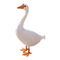 thumbnail image 2 of Estatua de ganso realista decorativa figura de pájaro escultura animal plástico pluma 26 cm x 16 cm x 38 cm, 2 of 9