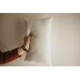thumbnail image 2 of 16x12 or 12x16 | Indoor Outdoor Hypoallergenic Polyester Pillow Economical Insert, 2 of 7