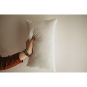 8x20 or 20x8 | Indoor Outdoor Hypoallergenic Polyester Pillow Economical Insert