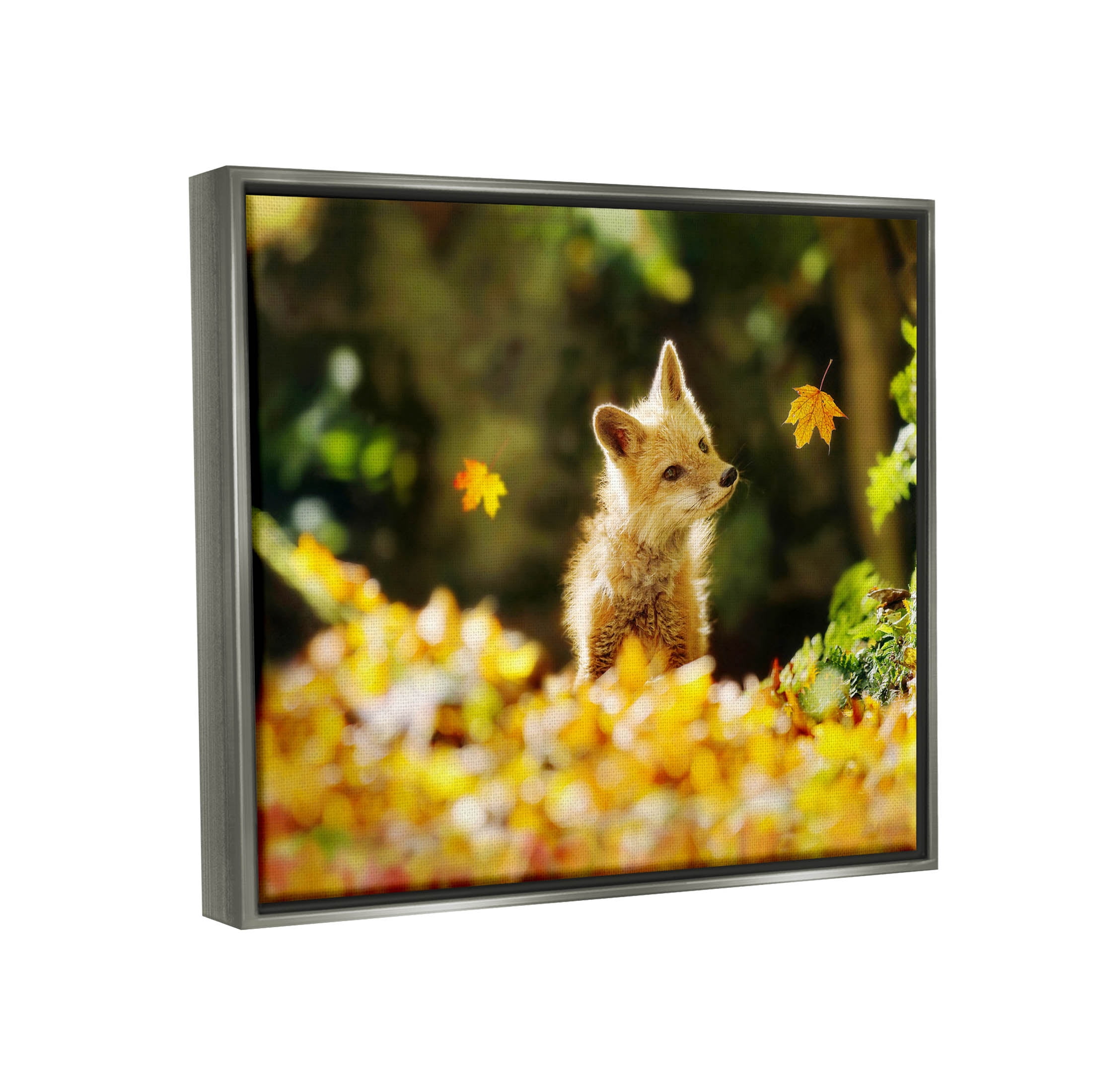 Stupell Industries Fox Watching Autumn Leaves Photograph Luster Gray Floating Framed Canvas Print Wall Art, Design by Carrie Ann Grippo-Pike