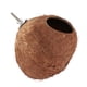 thumbnail image 4 of Juguete colgante de nido de pájaro de cáscara de coco para loros, periquitos y cacatúas. Tornillo, 4 of 9