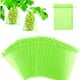 thumbnail image 1 of Paquete de 60 bolsas protectoras de frutas, 20 x 30 cm, bolsas protectoras para uvas, con cordón, bolsas de organza para jardín contra avispas, drosophila, escarabajos (verde musgo), 1 of 5