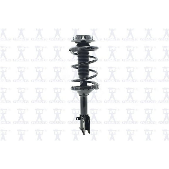 Suspension Strut and Coil Spring Assembly