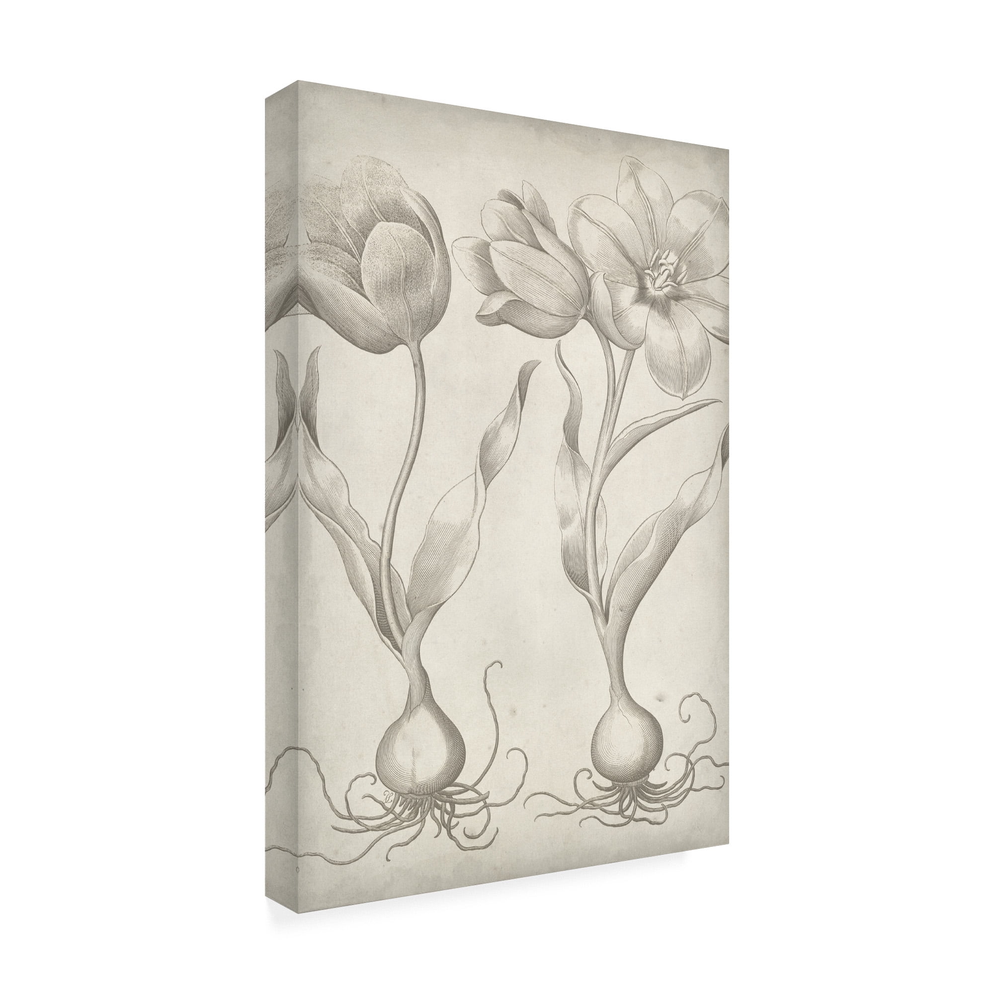 Trademark Fine Art 'Classic Romance III' Canvas Art by Vision Studio