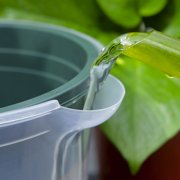 Self-Watering Planter Clear Plastic 6.5in Automatic Watering Flower Pot for Plants Succulents Herbs - Yellow