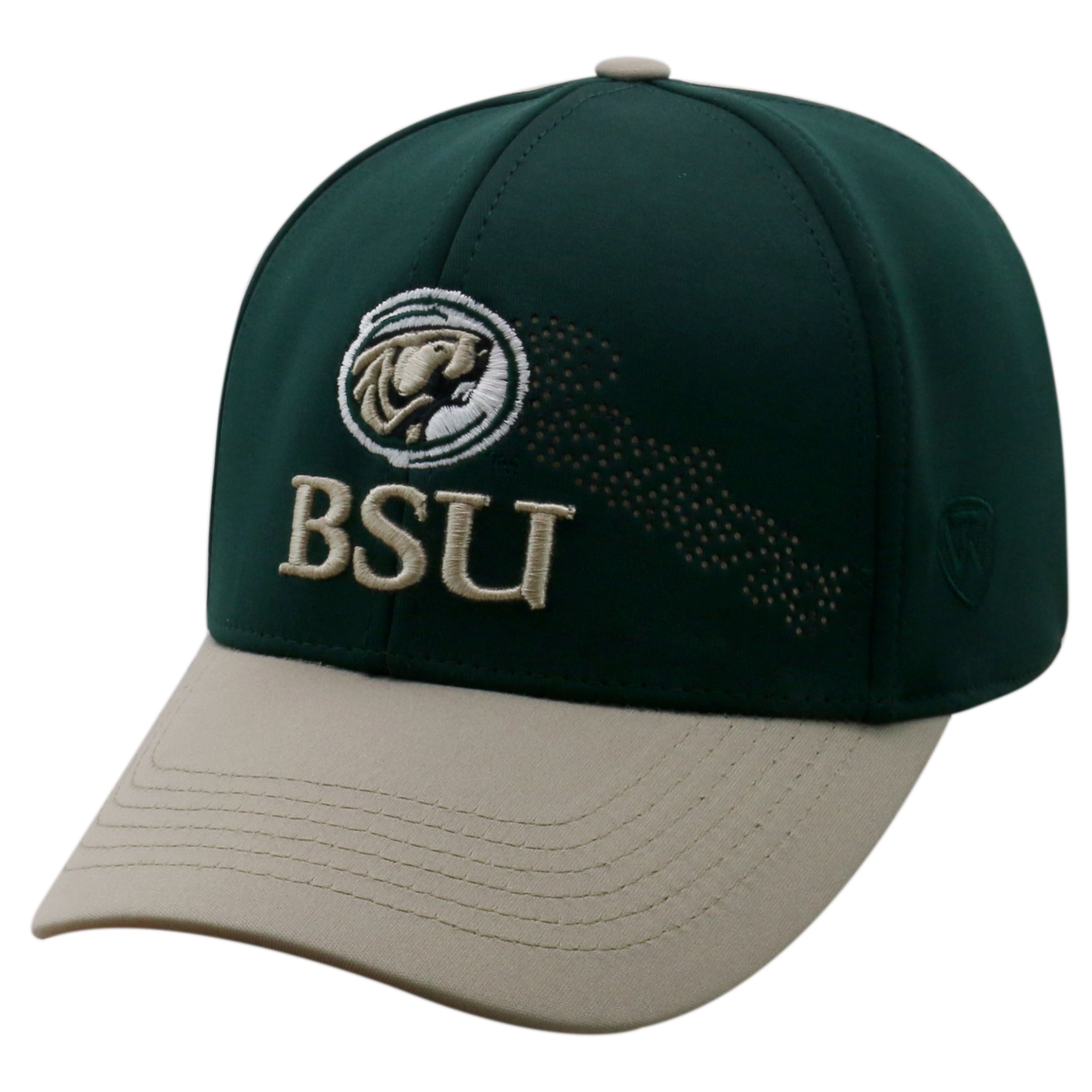 Bemidji State Beavers NCAA TOW Progress 