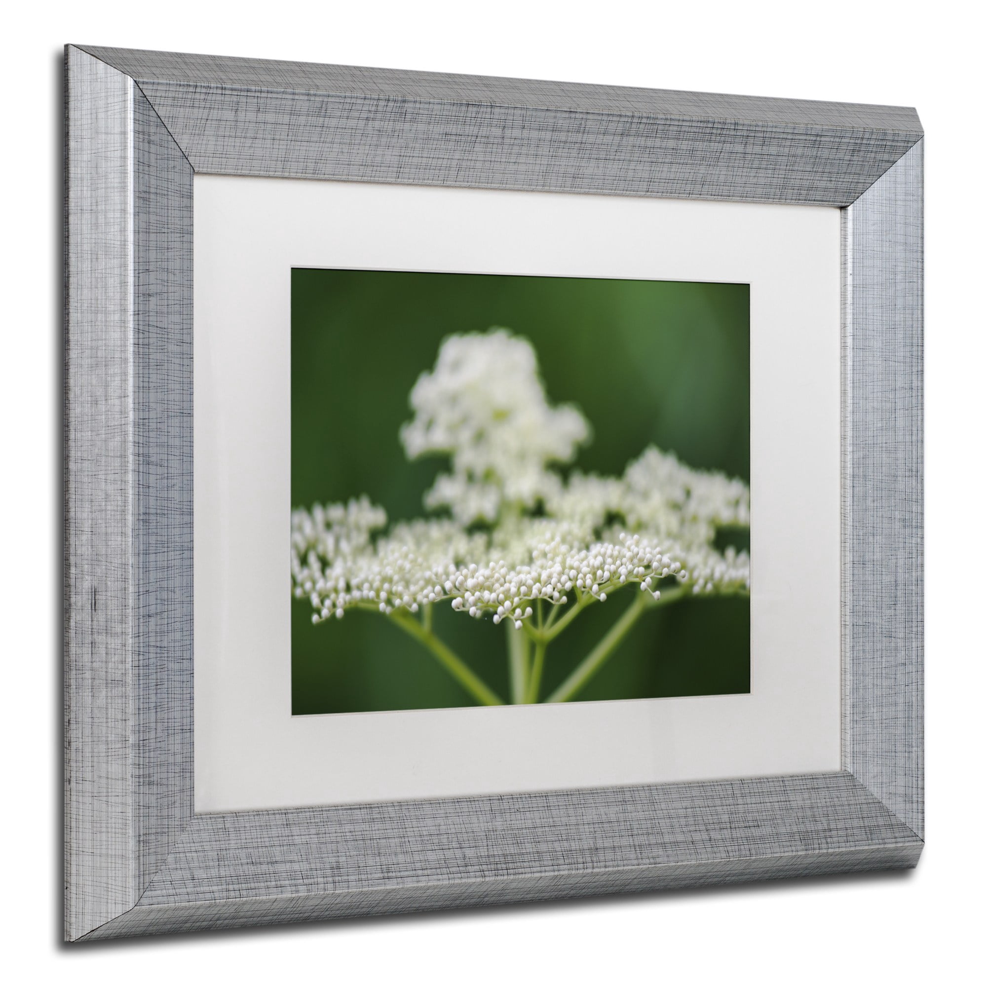 Trademark Fine Art "Nature is Amazing" Canvas Art by Kurt Shaffer, White Matte, Silver Frame