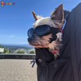 thumbnail image 5 of Spencer Small Dog Goggles UV Protection Doggy Sunglasses Windproof Anti-Fog Eye Wear for Small Pet Puppy Cat (Black), 5 of 8