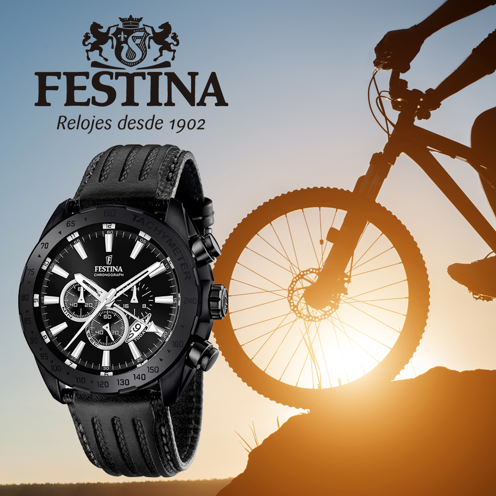 festina f16901