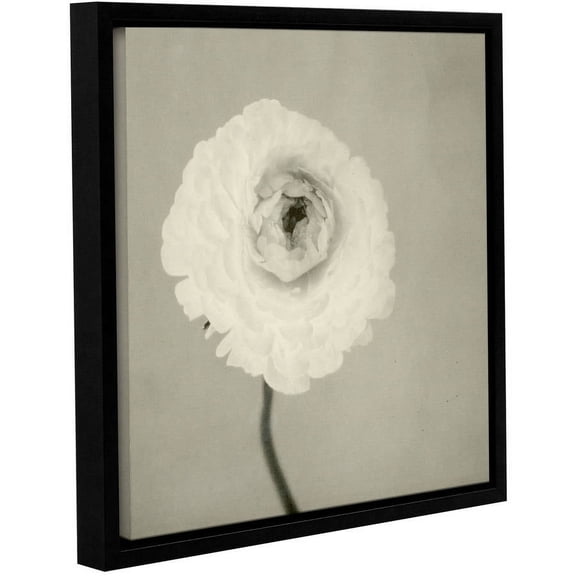 ArtWall Elena Ray "Ranunculus" Gallery-Wrapped Floater-Framed Canvas