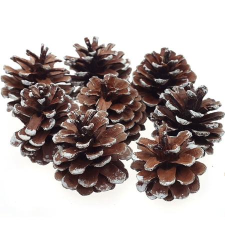 8Pcs Snow Pinecone Ornaments Christmas Tree Baubles Pine Cones