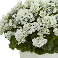 thumbnail image 3 of Nearly Natural Plastic 27" Geranium Artificial Plant in White Planter, 3 of 3