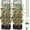 2, variant on Self-Watering Tomato Planter Box with Trellis and Rectangular Cages for Raised Beds, Patio, Indoor, and Outdoor Use (2-Pack)