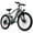 26inch, variant on 749W(Peak)Motor 26''Electric Bike For Adult,Max Speed ,40 Miles ranges E-bike,Shimano 7 Speed, Electric bicycles
