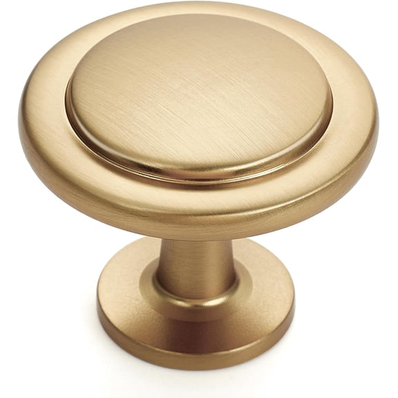 Champagne Bronze Kitchen Cabinet Knobs 1-1/4 inch Round Drawer Pulls Dresser Door Handles Zinc Hardware for Furniture 10 Pack