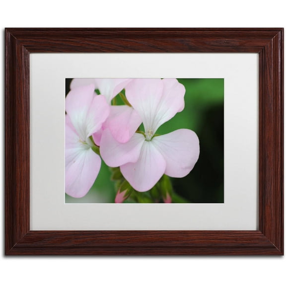 Trademark Fine Art "Devine Feel" Canvas Art by Monica Mize, White Matte, Wood Frame