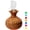 Light-colored, variant on Mini Cool Mist Humidifier for Bedroom, 300ML USB Humidifier with Night Light, Flower Vase Shape Portable Humidifier for Room Office Desk,Dark