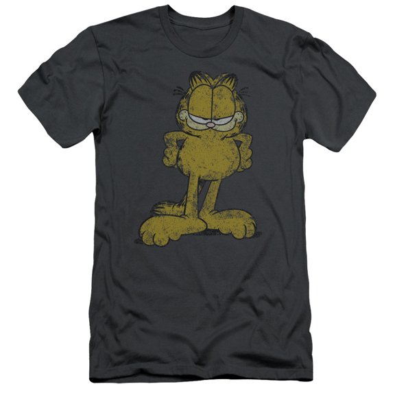 Garfield Big Ol Cat S/S Adult 30/1 T-Shirt Charcoal