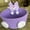 purple, variant on Cute Cartoon Character Cotton Rope Storage Basket, Handwoven Desktop Organizer, Multi-Purpose Storage Bin for Home, Office, Bedroom