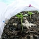 thumbnail image 3 of Xihbxyly Ofertas Por Tiempo Limitado Hoy Cubiertas de Tela No Tejida para Jardinería, Protección de Plantas, Manta Antiheladas, 3 of 7