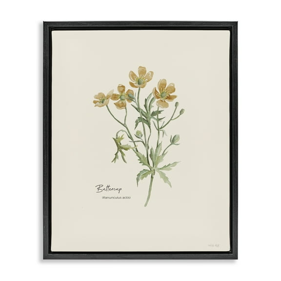 Stupell Industries Simple Buttercup Flowers Botanical & Floral Painting Black Floater Framed Art Print Wall Art, 17 x 21