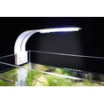 thumbnail image 5 of Lámpara LED ultrapequeña para acuarios pequeños, mini luces de abrazadera para acuario con 24 LED blancos para acuarios grandes de 30-40 cm, 10 W (blanco) Rojo Verde, 5 of 5