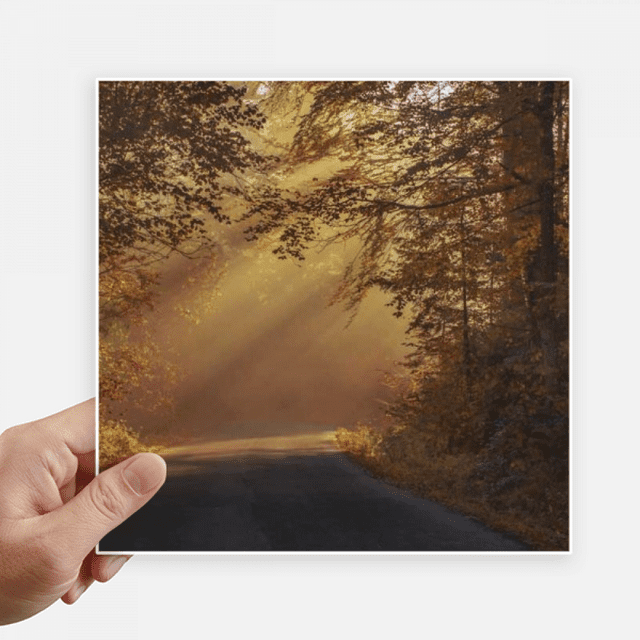 Fall Forestry Science Nature Scenery Sticker Tags Wall Picture Laptop Decal Self adhesive