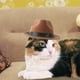 thumbnail image 4 of Sombrero de vaquero para mascotas, accesorios para disfraces, sombreros con cordón ajustable para perros pequeños y grandes, cachorros de Chihuahua pa marrón Sunnimix Sombrero de vaquero para mascotas, 4 of 7
